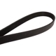 Purchase Top-Quality CONTINENTAL - 4060600 - Serpentine Belt - Automotive V-Belt pa2