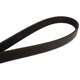 Purchase Top-Quality CONTINENTAL - 4060667 - Serpentine Belt - Automotive V-Belt pa1