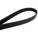 Purchase Top-Quality CONTINENTAL - 4060712F - Serpentine Belt - Automotive V-Belt pa2