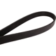 Purchase Top-Quality CONTINENTAL - 4060728 - Serpentine Belt - Automotive V-Belt pa2