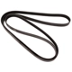 Purchase Top-Quality CONTINENTAL - 4060767F - Serpentine Belt - Automotive V-Belt pa1