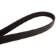 Purchase Top-Quality CONTINENTAL - 4061032 - Serpentine Belt - Automotive V-Belt pa1