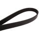 Purchase Top-Quality CONTINENTAL - 4061080 - Serpentine Belt - Automotive V-Belt pa2