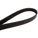 Purchase Top-Quality CONTINENTAL - 4061090 - Serpentine Belt -  Automotive V-Belt pa1