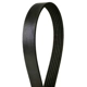 Purchase Top-Quality CONTINENTAL - 4061090 - Serpentine Belt -  Automotive V-Belt pa3