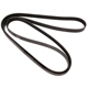 Purchase Top-Quality CONTINENTAL - 4061250 - Serpentine Belt - Automotive V-Belt pa4