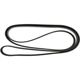 Purchase Top-Quality CONTINENTAL - 4070677 - Serpentine Belt - Automotive V-Belt pa1