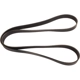 Purchase Top-Quality CONTINENTAL - 4080797 - Serpentine Belt - Automotive V- Belt pa2