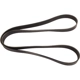 Purchase Top-Quality CONTINENTAL - 4081306 - Serpentine Belt - Automotive V-Belt pa1