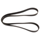 Purchase Top-Quality CONTINENTAL - 4081331- Serpentine Belt - Automotive V-Belt pa2