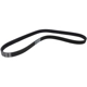 Purchase Top-Quality CONTINENTAL - 6PK1054 - Serpentine Belt  - Automotive V- Belt pa2