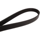 Purchase Top-Quality CONTINENTAL - 6PK2585 - Serpentine Belt pa3