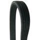 Purchase Top-Quality CONTINENTAL - D4050610 - Serpentine Belt - Automotive V- Belt pa2