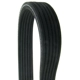 Purchase Top-Quality CONTINENTAL - D4060470 - Serpentine Belt - Automotive V - Belt pa1