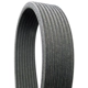 Purchase Top-Quality CONTINENTAL - D4081254 - Serpentine Belt - Automotive V-Belt pa1