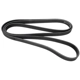 Purchase Top-Quality CONTINENTAL - D4081254 - Serpentine Belt - Automotive V-Belt pa2