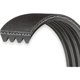 Purchase Top-Quality GATES - K060795 - Serpentine Belt pa10