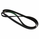 Purchase Top-Quality Serpentine Belt by MOTORCRAFT - JK6-826AB pa2