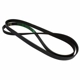 Purchase Top-Quality Serpentine Belt by MOTORCRAFT - JK6-826AB pa4