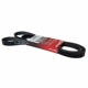 Purchase Top-Quality Serpentine Belt by MOTORCRAFT - JK6-914A pa1