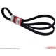 Purchase Top-Quality Serpentine Belt by MOTORCRAFT - JK8-1263 pa4