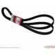 Purchase Top-Quality Serpentine Belt by MOTORCRAFT - JK8-1263 pa7