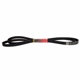 Purchase Top-Quality Serpentine Belt by MOTORCRAFT - JK8-1353 pa1