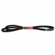 Purchase Top-Quality Serpentine Belt by MOTORCRAFT - JK8-1353 pa4