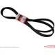 Purchase Top-Quality Serpentine Belt by MOTORCRAFT - JK8-1413 pa1