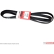 Purchase Top-Quality Serpentine Belt by MOTORCRAFT - JK8-996AA pa2