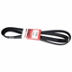 Purchase Top-Quality Serpentine Belt by MOTORCRAFT - JK8-996AA pa4