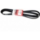 Purchase Top-Quality Serpentine Belt by MOTORCRAFT - JK8-996AA pa6