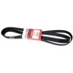 Purchase Top-Quality Serpentine Belt by MOTORCRAFT - JK8-996AA pa8