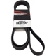 Purchase Top-Quality ROAD MAX - 8K981AP - Serpentine Belt pa1