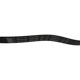 Purchase Top-Quality SKP - SK061093 - Serpentine Belt Anti-Slip Shield pa2