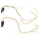 Purchase Top-Quality Speed Sensor Connector by BLUE STREAK (HYGRADE MOTOR) - TC23 pa10