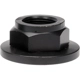 Purchase Top-Quality DORMAN - 615-004CD - Spindle Nut pa2