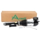 Purchase Top-Quality ARNOTT - AS3359 - Air Suspension Strut pa6