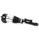 Purchase Top-Quality ARNOTT - AS3359 - Air Suspension Strut pa7