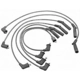 Purchase Top-Quality Tailored Resistor Ignition Wire Set by BLUE STREAK (HYGRADE MOTOR) - 27629 pa5