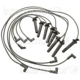 Purchase Top-Quality Tailored Resistor Ignition Wire Set by BLUE STREAK (HYGRADE MOTOR) - 27855 pa4