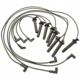 Purchase Top-Quality Tailored Resistor Ignition Wire Set by BLUE STREAK (HYGRADE MOTOR) - 27855 pa6