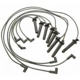 Purchase Top-Quality Tailored Resistor Ignition Wire Set by BLUE STREAK (HYGRADE MOTOR) - 27855 pa7