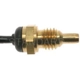 Purchase Top-Quality BLUE STREAK (HYGRADE MOTOR) - TS431 - Temperature Sensor pa19