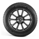 Purchase Top-Quality BRIDGESTONE - 005852 - Winter 20" Tire Blizzak DM-V2 245/60R20 pa2