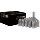 Purchase Top-Quality WEST COAST WHEEL ACCESSORIES - W5896ST - Wheel Truck Lug Nut pa1