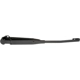 Purchase Top-Quality DORMAN - 42536 - Windshield Wiper Arm pa2